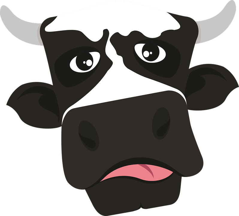 Cow Moo Vegan - Cartoon Cow Head Hd (798x720), Png Download