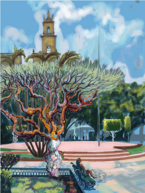 Central Square Merida - Tree (750x650), Png Download