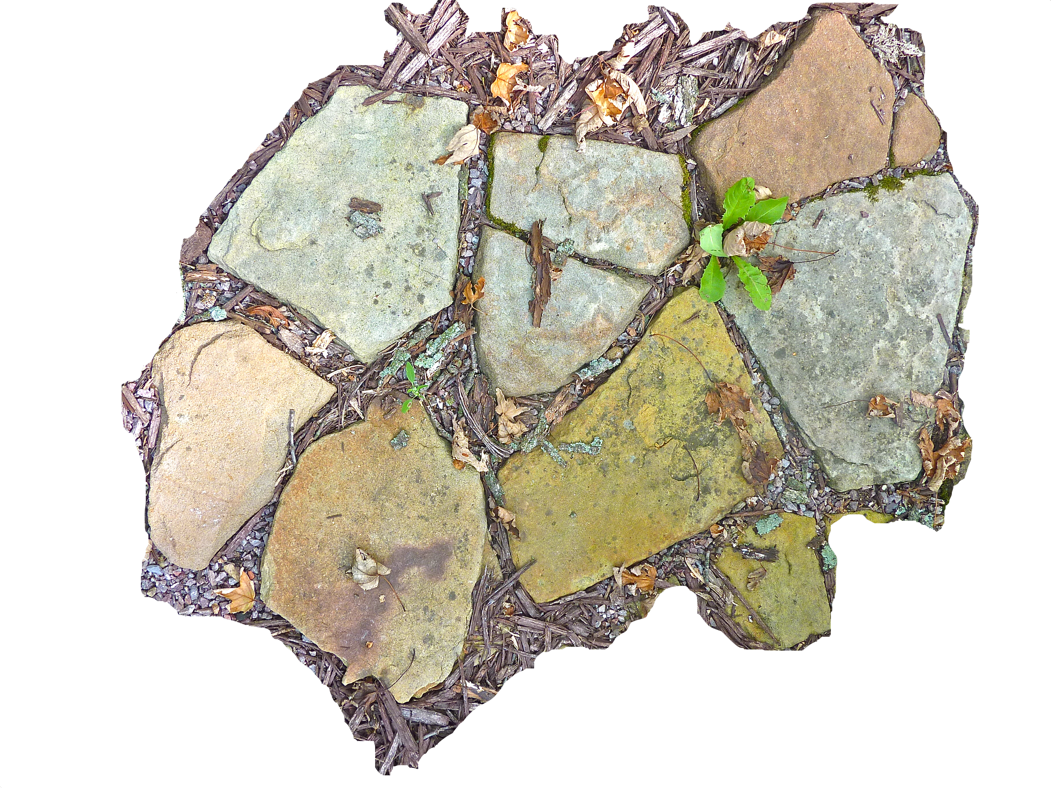 Bullet Png - Visual Arts (3648x2736), Png Download