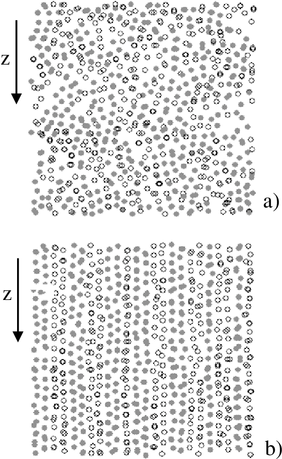 Computer Simulation Snapshots For A Two-dimensional - Animal Print (578x938), Png Download