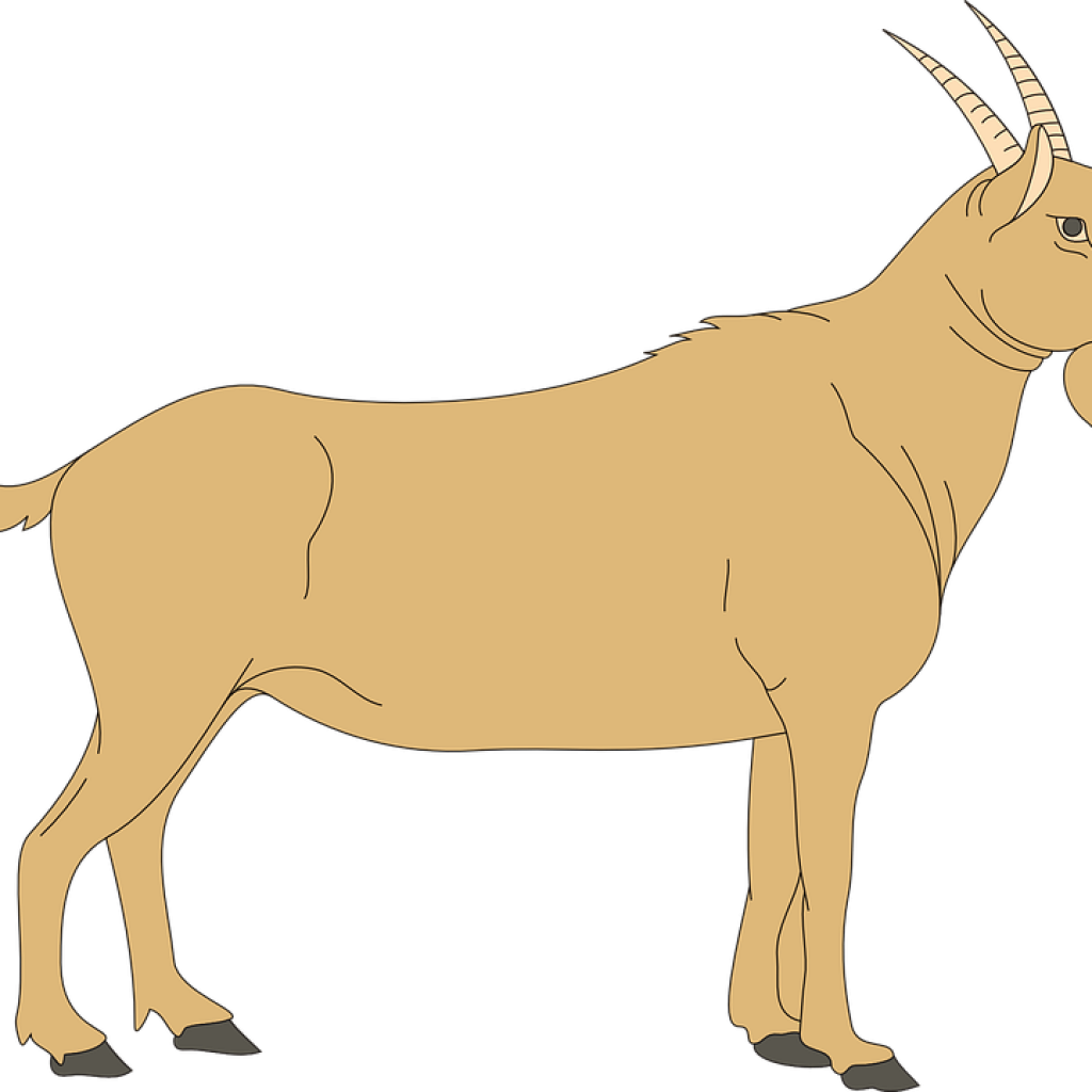 Goat Clipart 19 Goat Clip Royalty Free Huge Freebie - Goat Clipart Transparent Background (1024x1024), Png Download