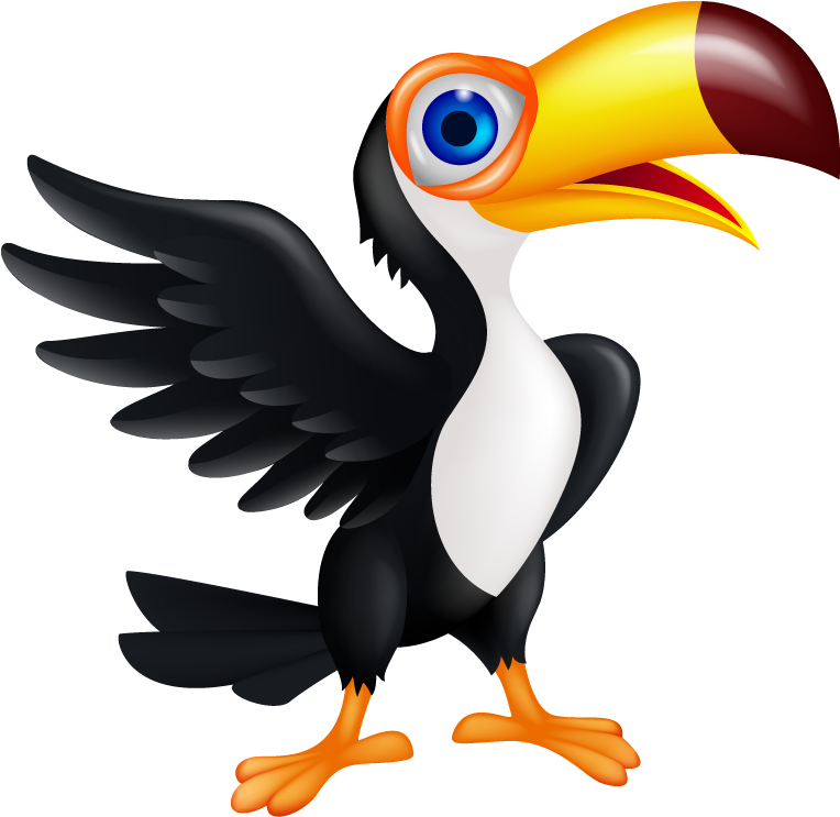 Tucan Png (800x800), Png Download
