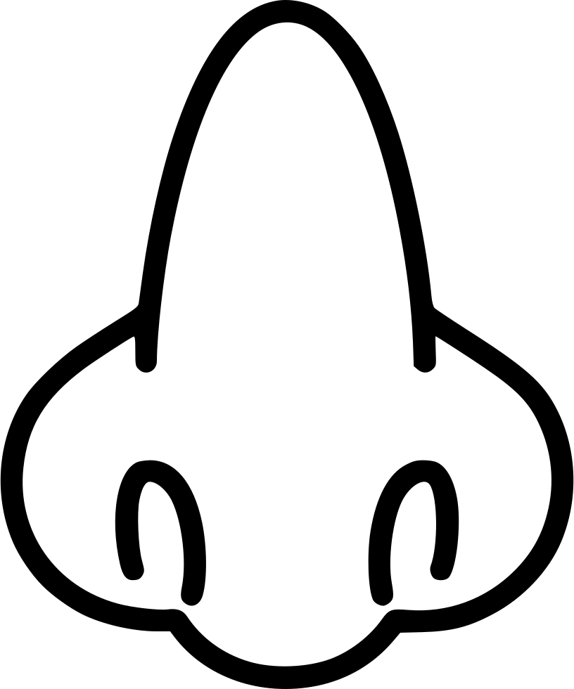 Svg Black And White Library Nose Full Face Anatomy (816x980), Png Download