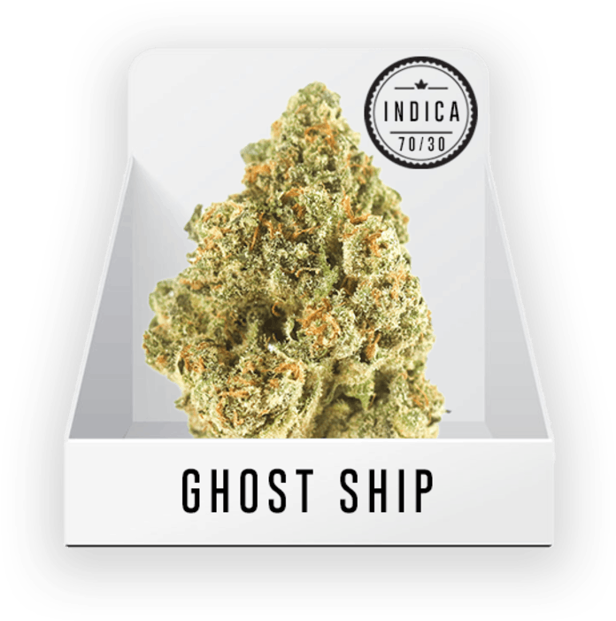 Plane (770x770), Png Download