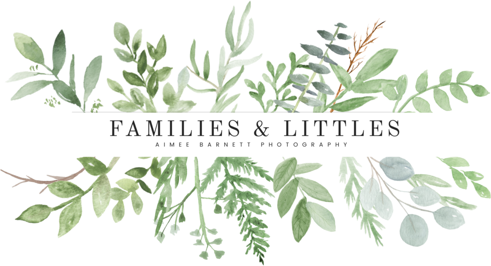 3889 Main Logo 5c553534d217f6 21912395 (1000x1000), Png Download