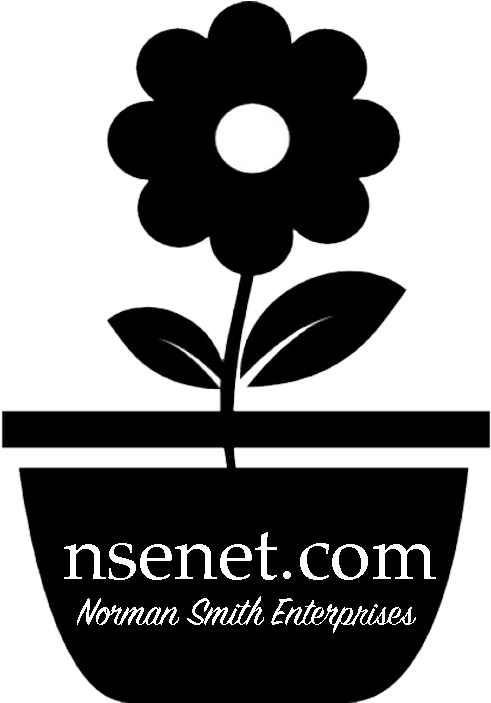 Norman Smith Enterprises Inc - Icon (739x836), Png Download