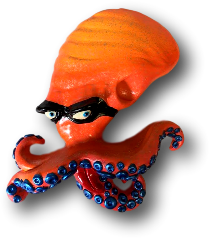 Poopy Octopus Orange Masked - Octopus (764x764), Png Download
