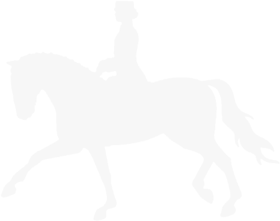 Breed Points - Stallion (600x600), Png Download