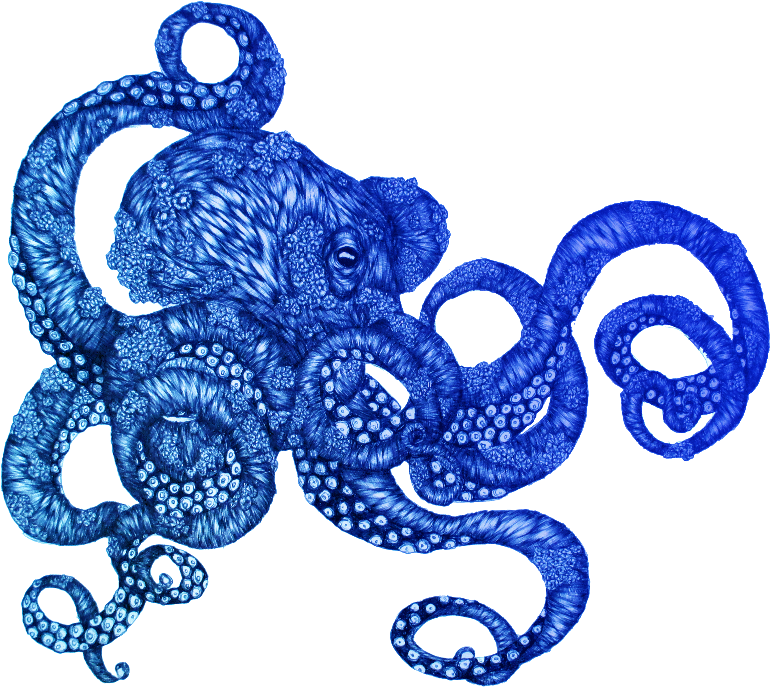 Ombre Octopus - Octopus Rug (800x706), Png Download