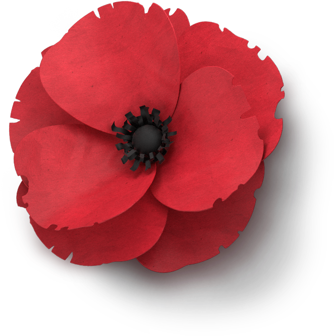 Poppy Flower Veterans Day - Clip Art Remembrance Day Poppy (750x665), Png Download