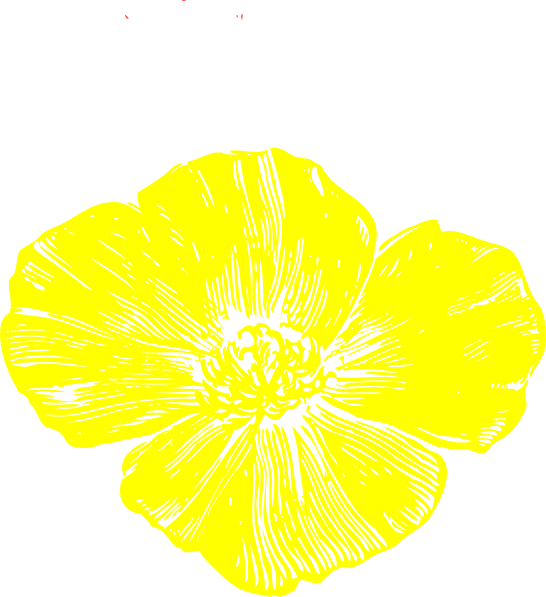 Original Png Clip Art File Yellow Poppy Svg Images (546x597), Png Download