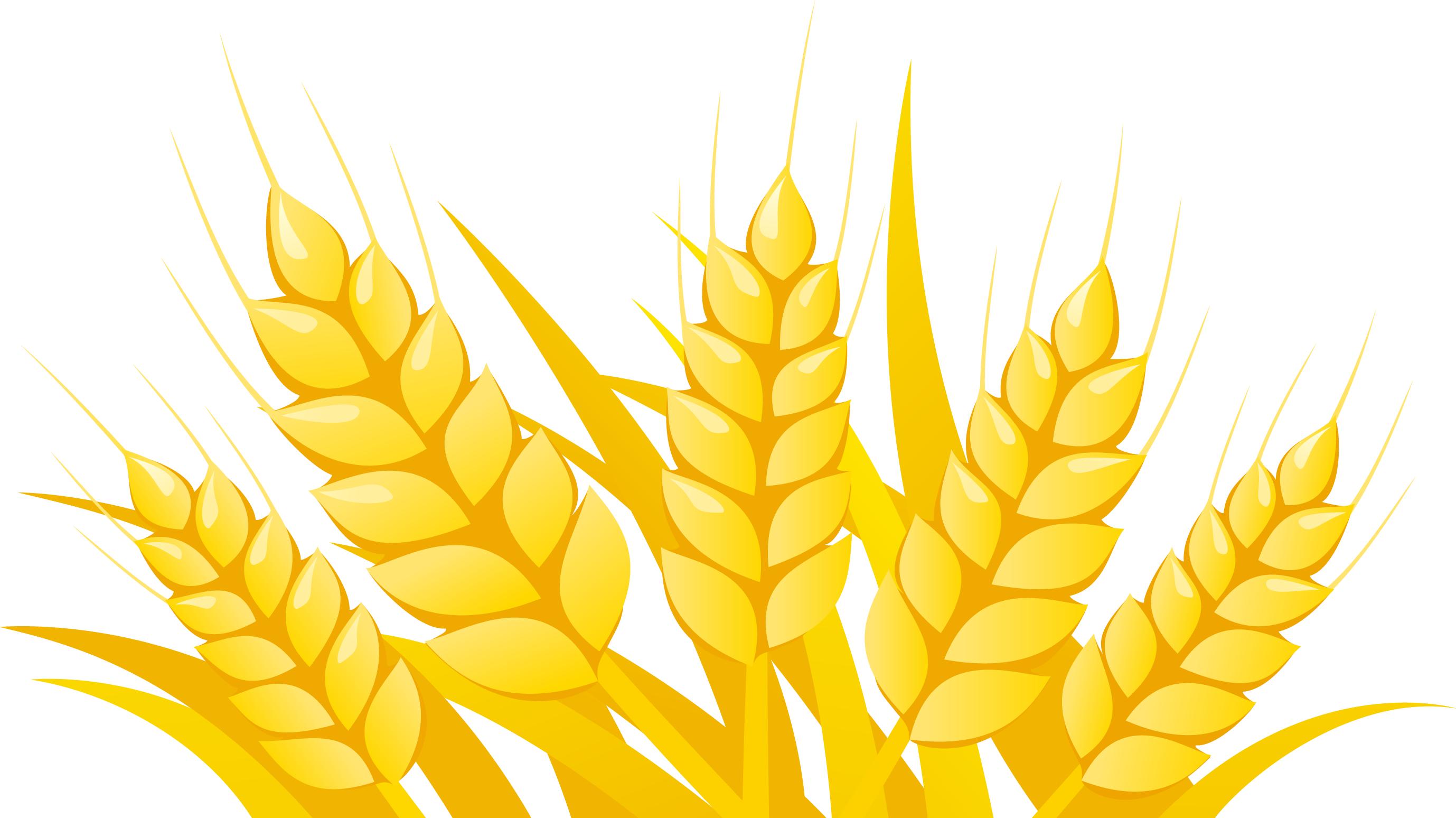 Wheat Clipart Vector - Vector Wheat Png (2757x1548), Png Download