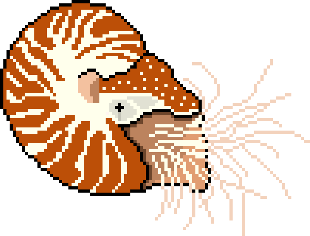 Unlike Other Cephalopods, The Chambered Nautilus Has (1000x1000), Png Download