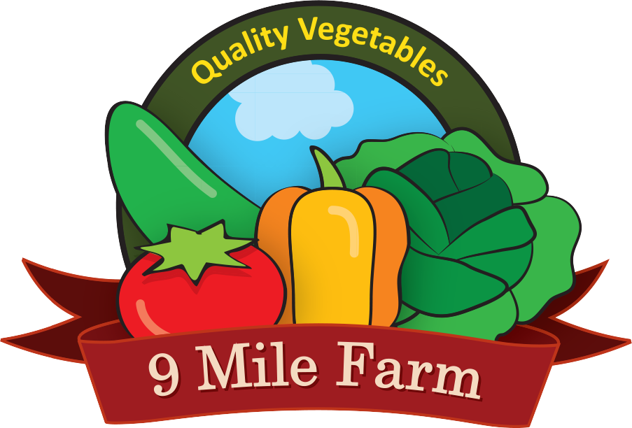 903 X 612 7 - Innovative Agro Industry (903x612), Png Download