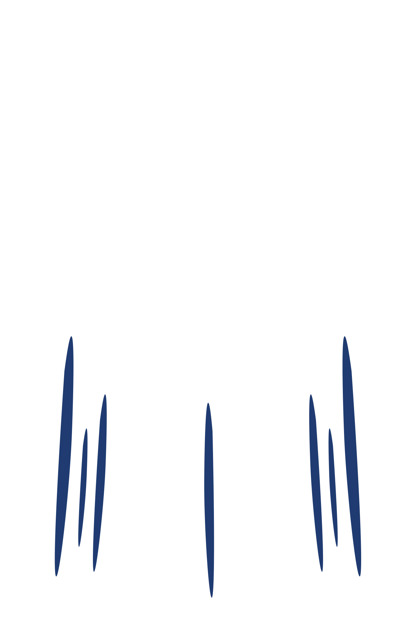 Cap And Gown Hire - Graduation (5116x2362), Png Download