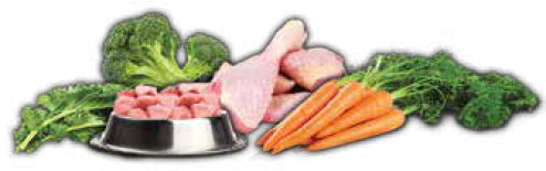 Cabbage (600x628), Png Download