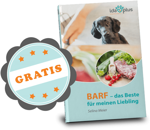 Inhalt Des E-books - Graphic Design (600x547), Png Download