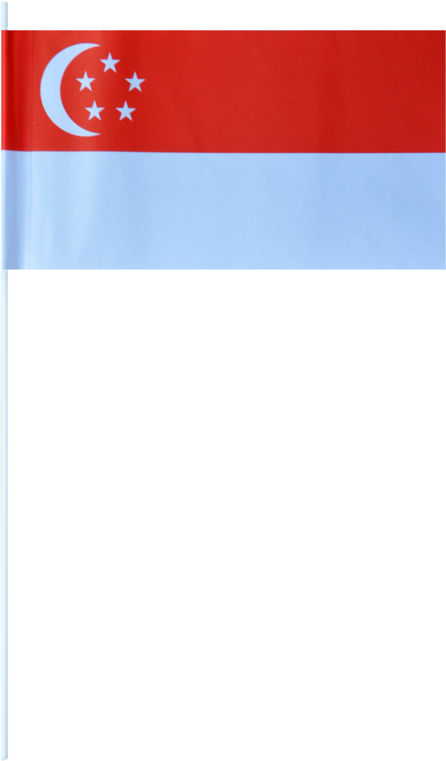 Singapore Paper Flags - Flag (993x1500), Png Download