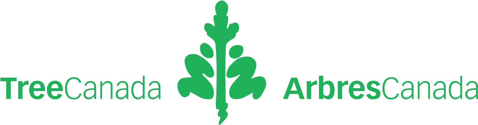 While You Fill Up At 7-eleven, You Are Making A Direct - Tree Canada (2551x1054), Png Download