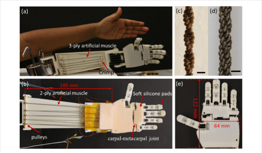 Tcp Hand Prototypes - Scale Model (850x499), Png Download