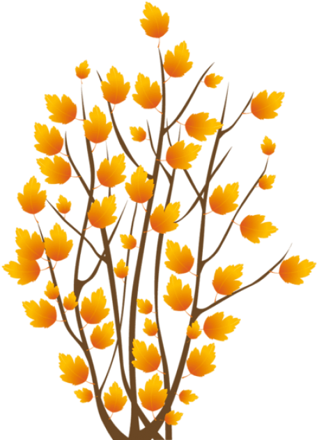Free Png Fall Bush Png Images Transparent - Tree Autumn Vector (480x673), Png Download