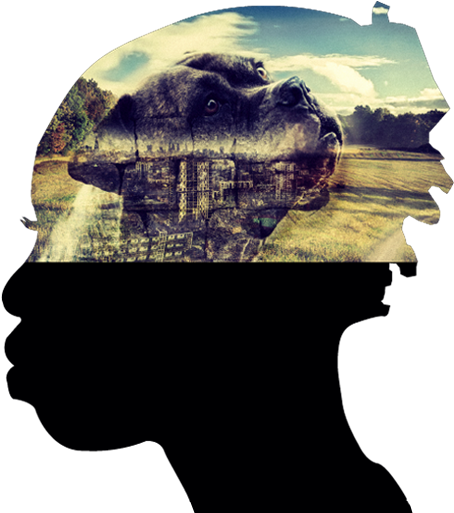 Actors, Dancers, Comedians, Poets Or Musicians Of All - Poster (600x521), Png Download