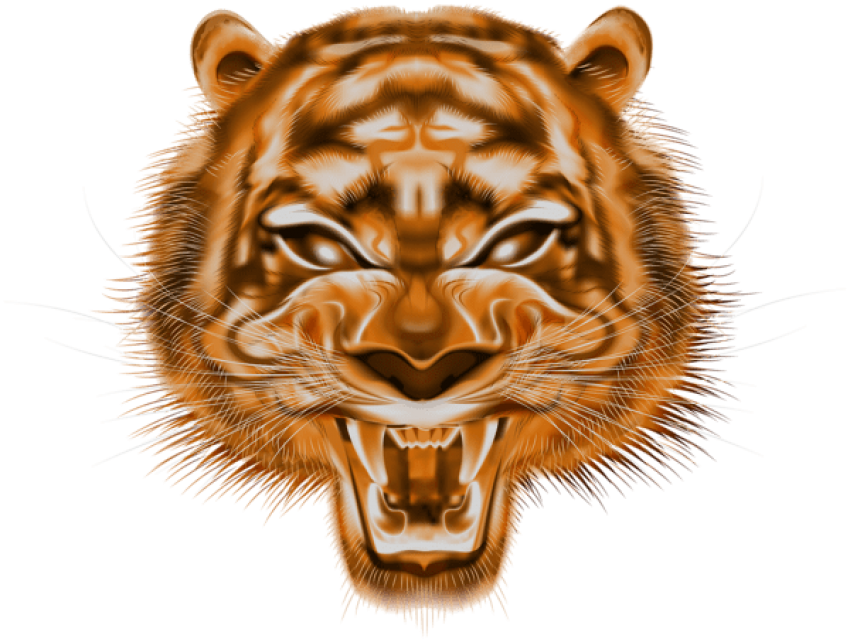 Free Png Download Decorative Tiger Head Png Images - Siberian Tiger (850x642), Png Download