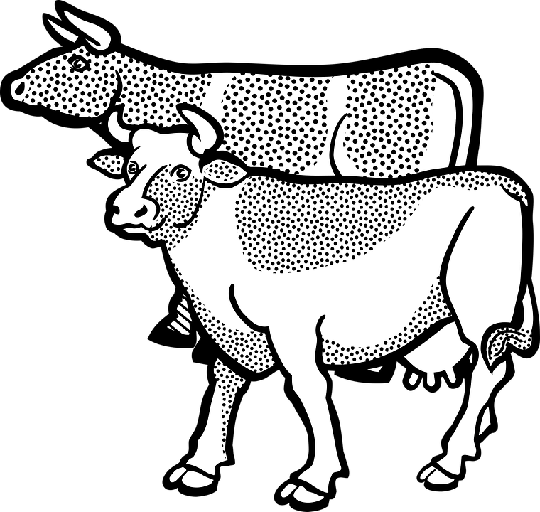 Mammal Clipart Farm Animal Head - Gambar Animasi Hewan Ternak (760x720), Png Download