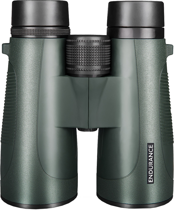 Hawke Endurance Binoculars - Binoculars (579x700), Png Download