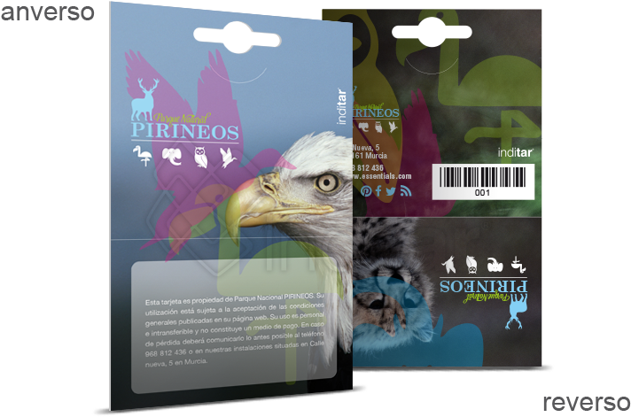 Anverso Y Reverso Packaging Rectángulo Abierto - Bald Eagle (750x500), Png Download