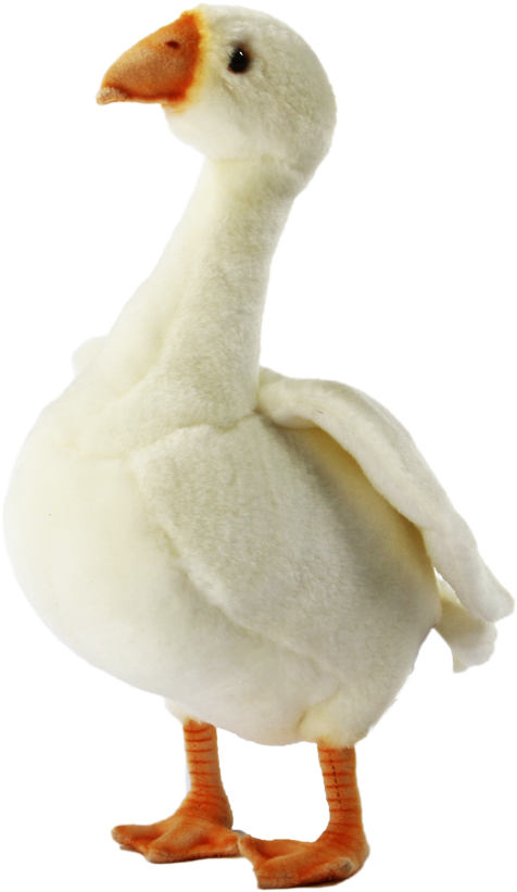 Goose - Duck (900x900), Png Download