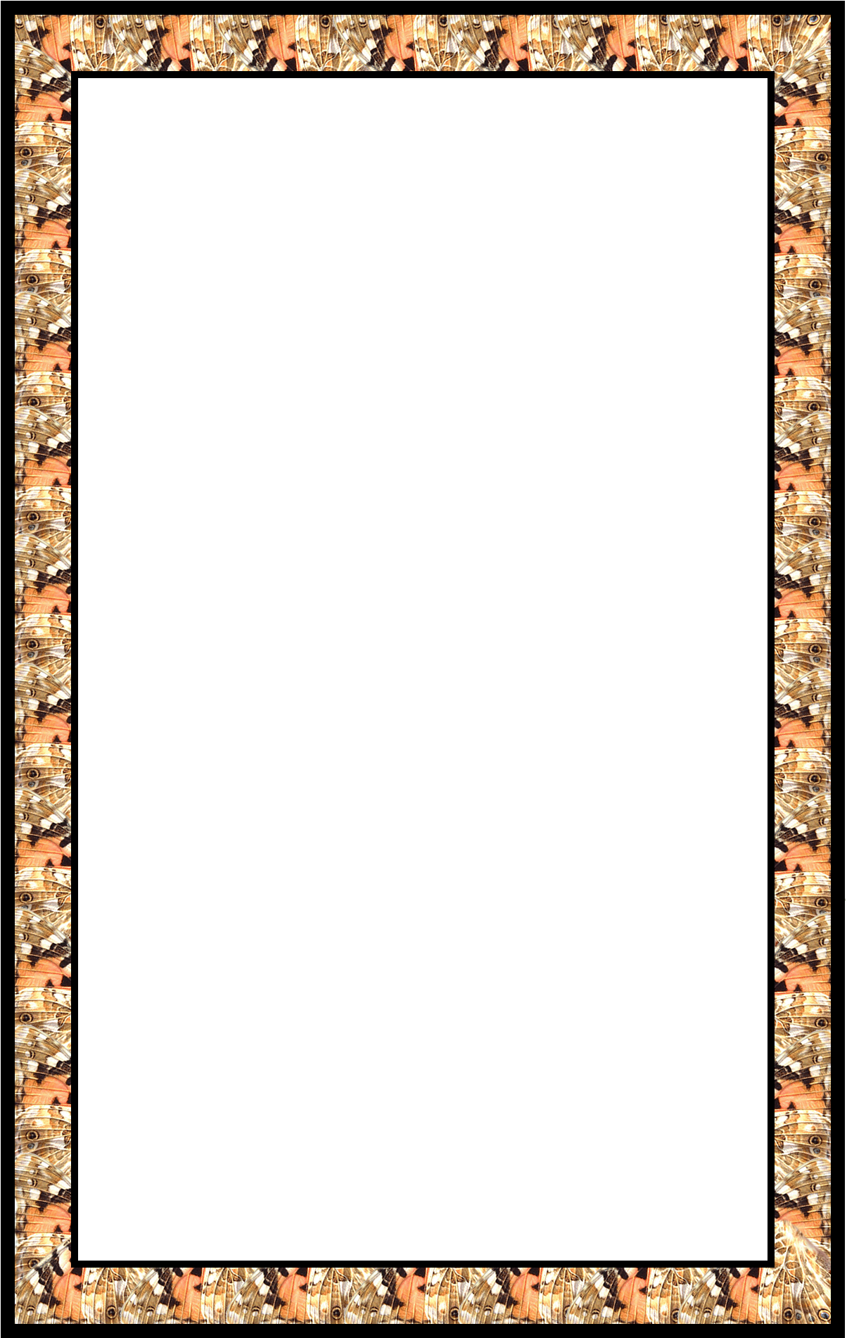 Custom Butterfly Wing Frame That I Made - Art (1400x2100), Png Download