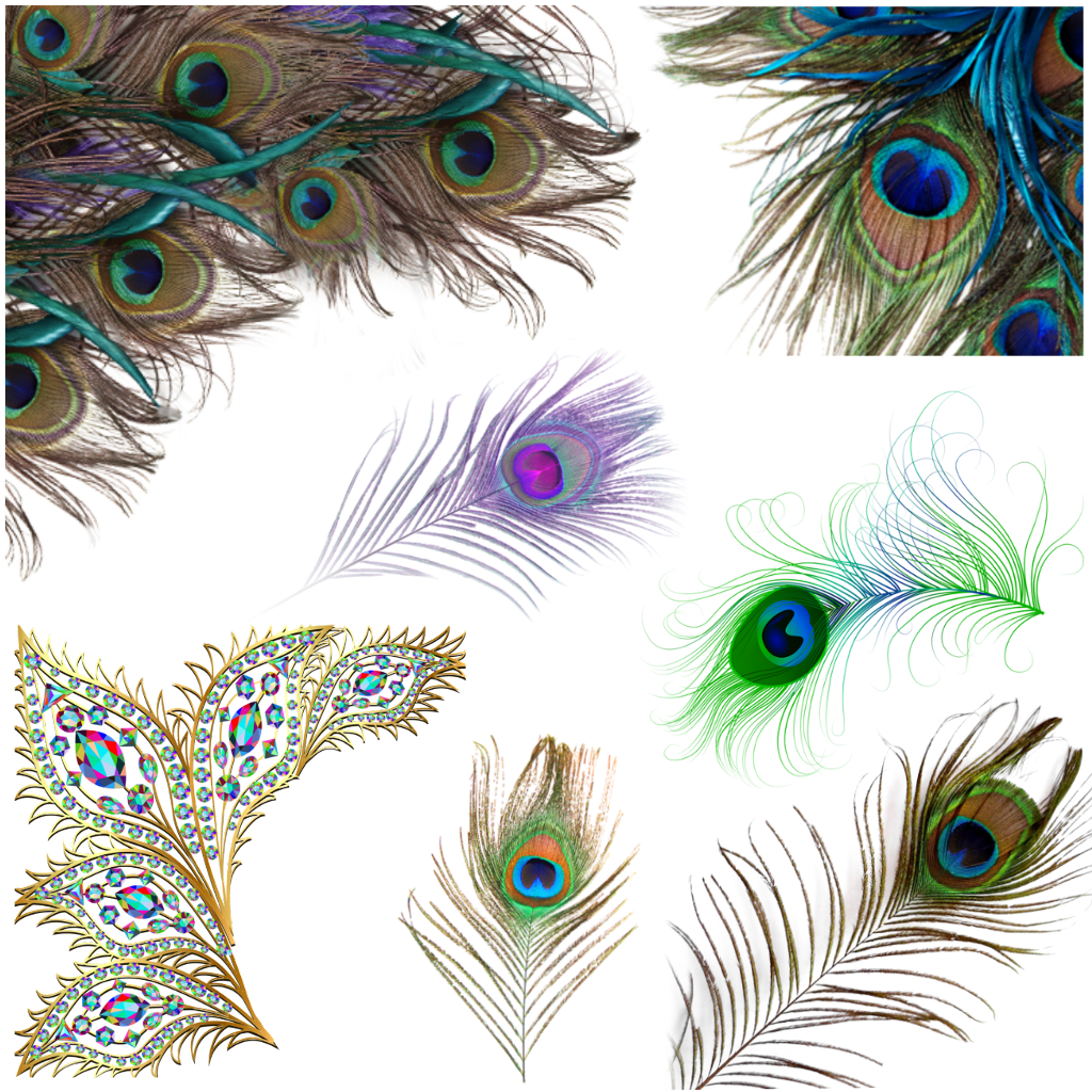 @jessicastuber Peacock Feathers Peacockfeathers Sticker (1024x1024), Png Download
