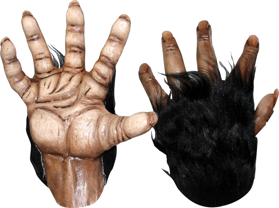Chimp Brown Hands - Chimp Hands (969x725), Png Download