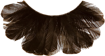 Black - Lace Wig (620x678), Png Download