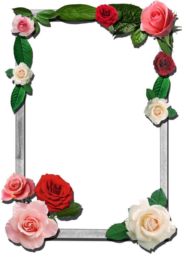 Roses This Photo Was Uploaded By Razadelumina Flower - Png Photo Frames For Photoshop (723x1023), Png Download