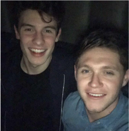 Niall Horan, Do One Direction, E Shawn Mendes Publicam - Niall Horan And Shawn Mendes (800x450), Png Download