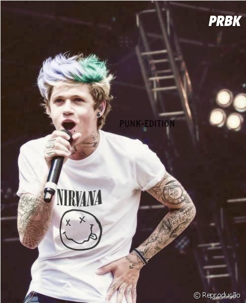 Niall Horan Continuaria Cantando No One Direction Depois - Niall Horan (950x617), Png Download