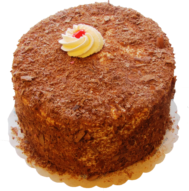 Cakechocolate With Custardv - Chocolate Cake (800x805), Png Download