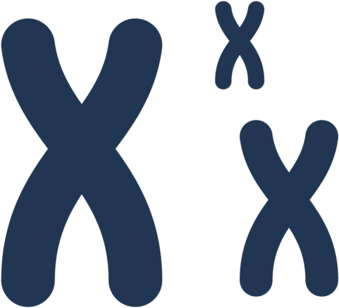 Dna Png Icon (800x623), Png Download