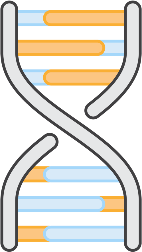 Deck Dna1 (1000x1000), Png Download