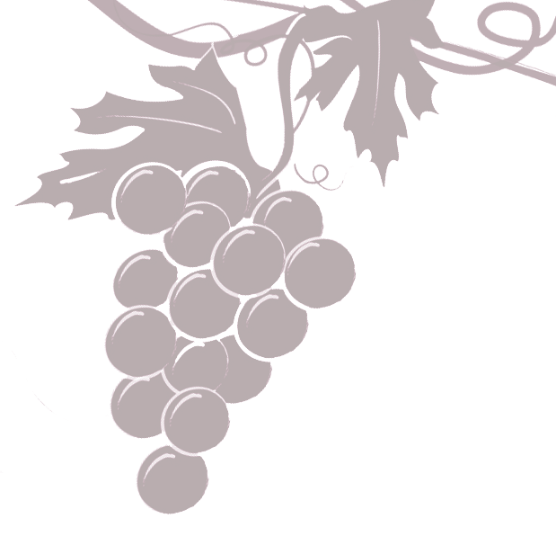 Grapevine Transparent - Sultana (619x596), Png Download