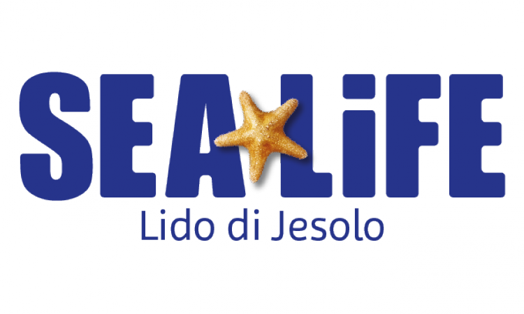 7 / - Sea Life Trust (750x450), Png Download