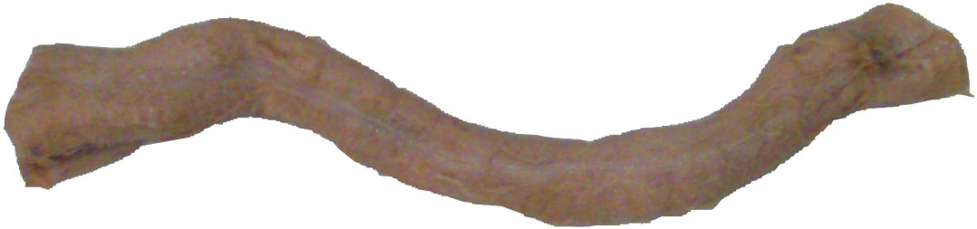 Image - Earthworm (1280x508), Png Download
