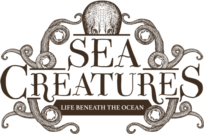 Sea Creature Logo - Sea Creatures Logo (800x566), Png Download