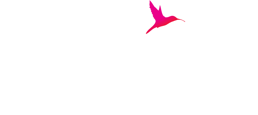 Dh Logo Home 500px - Seabird (1000x460), Png Download