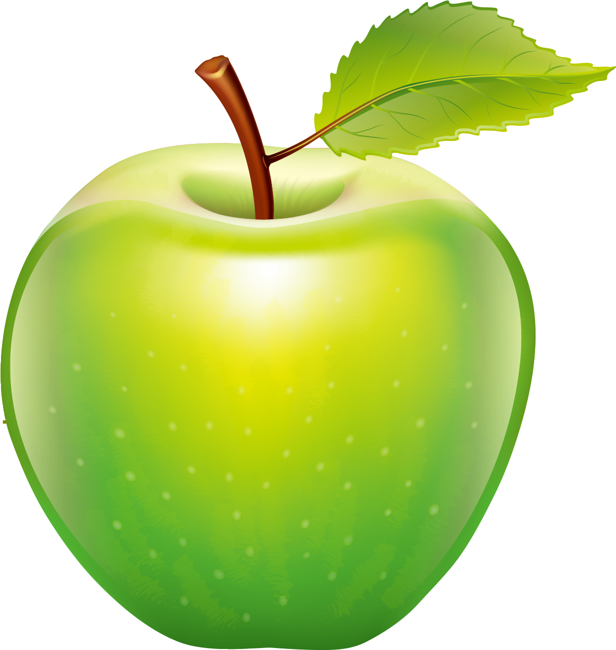 Apple Tape Measure Icon - Realistic Apple Clip Art (1241x1310), Png Download