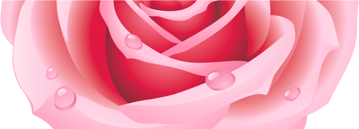 Gloria June Hewat - Heart Rose Clipart (1175x424), Png Download