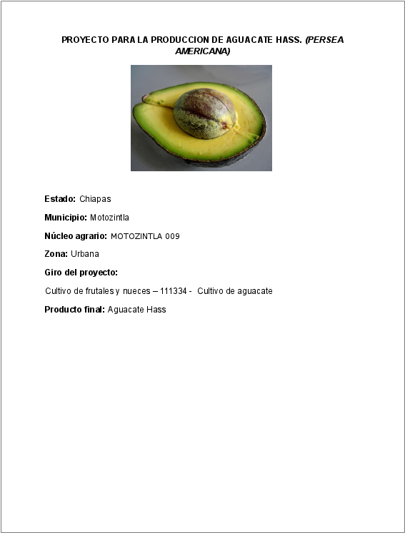 Docx - Partes De La Palta (612x792), Png Download