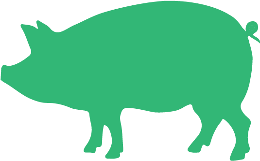 Illustrations Pigs Green - Sweat Like A Pig To Look Like (914x781), Png Download